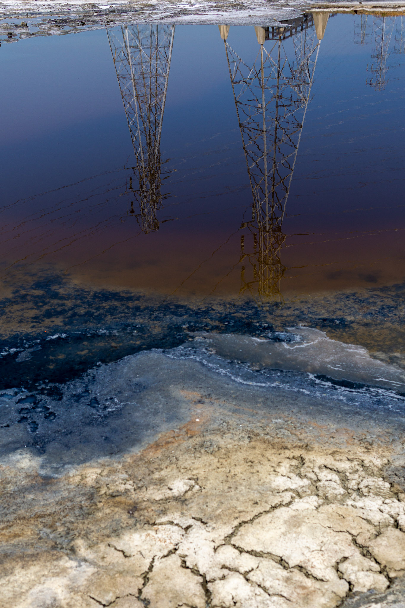 Salt Pond Reflection